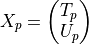 X_p = \begin{pmatrix}T_p\\U_p\end{pmatrix}